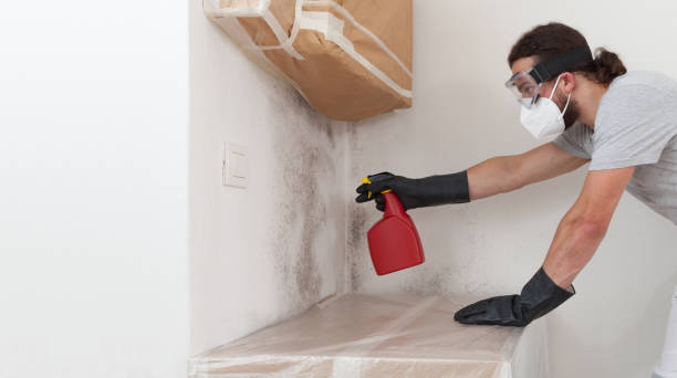 Professional Bathroom Mold Removal technician working in Olney, TX