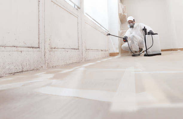 24/7 Emergency Bathroom Mold Removal experts in Olney, TX