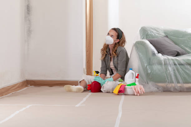 Reliable Bathroom Mold Removal contractor in Olney, TX by Car Mold Remediation